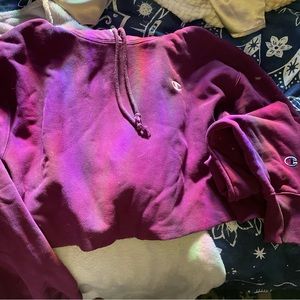 Cropped champion hoodie